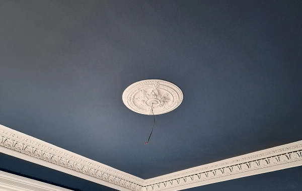 Rectangle 3463448 (1)